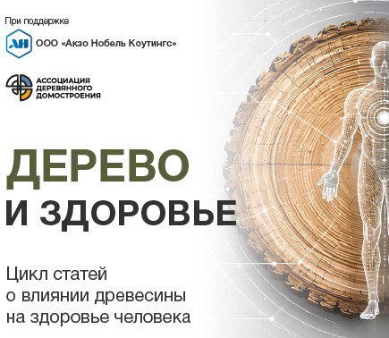 Цикл статей о влиянии древесины на здоровье человека